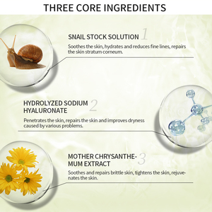Private Label Boosting <strong>Snail</strong> Mucin Repairing Essence Face Serum Skincare Moisturizing Smoothing <strong>Snail</strong> Facial Serum for Dry Skin - Product Image 2
