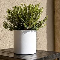 Jardinière élégante en fibre-ciment extra-large, légère et durable, pour plantes d'intérieur/extérieur, pot de fleurs blanc avec trou de drainage pour plantes au sol