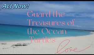 Groothandel Op Maat Gemaakte Sieraden Dragen Voor De Zeeschildpadden Oceaan Geïnspireerde Schildpad Oorbellen Ketting Bewaker Van De Zee Juwelen - Product Image 5