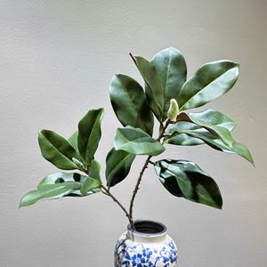 Feuilles de Magnolia Artificielles Meng Jie 30cm-100cm en PVC Vert pour Décoration d'Intérieur et Fleurs de Vase - Product Image 3