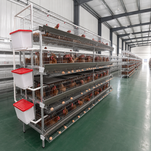 Equipo Completo <span class=keywords><strong>de</strong></span> Jaulas Tipo H para Gallinas Ponedoras con Sistema <span class=keywords><strong>de</strong></span> Alimentación, Bebederos, Recolección <span class=keywords><strong>de</strong></span> <span class=keywords><strong>Huevos</strong></span> y Eliminación <span class=keywords><strong>de</strong></span> Estiércol - Product Image 4