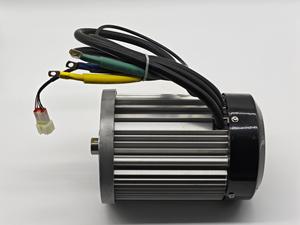 Kit de conversión de 3300RPM 2KW 60V, Motor PMSM de CC sin escobillas con ruedas para triciclo, autobús turístico eléctrico, Mini Camper, precio - Product Image 5