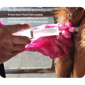 Lubrificante Protettivo per Inseminazione Artificiale Veterinaria per Suini, Bovini, Ovini, Gel Lubrificante Antibatterico per l'Utero del Bestiame - Product Image 5