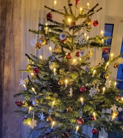 Bougies LED Noël et Pâques Extérieur Cour Clip Décoration Lumières Chambre Suspension Arbre Lumières colorées