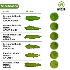 Bubuk ekstrak daun teh hijau instan organik larut grosir ekstrak jumlah besar bubuk teh hijau AAAAA/AAAAAA Matcha - Product Image 3