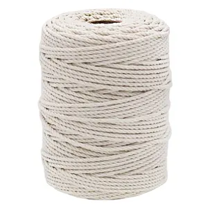Kitchen Cooking Twine 328 Feet 3mm Cotton Bakers Twine Food Safe Butchers String for Tying Up Meat