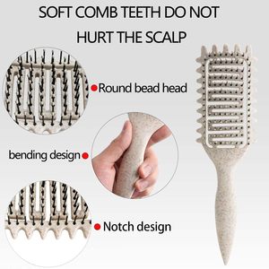 แปรงผมลอนพลาสติกแบบมีช่องระบายสำหรับผู้ชายผู้หญิง2024 - Product Image 3