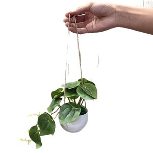 Plante artificielle de lierre vert suspendue en pot de 14 pouces pour la décoration de la maison, de l'hôtel et du balcon - Product Image 5