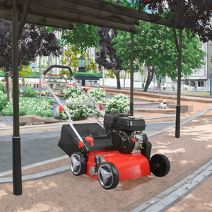 Haute productivité essence rouleau tondeuse à <span class=keywords><strong>gazon</strong></span> automatique auto-mobile coupe-herbe 212CC main pousser coupe <span class=keywords><strong>scarificateur</strong></span> - Product Image 2