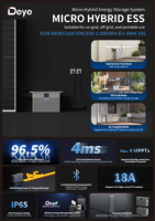 Batterie de stockage ESS murale basse tension Deye SUN-BK160-2.56KWH-EU-AM4-18L 2,56 kWh 51,2 V LiFePO4 IP20