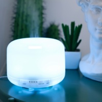 Winbest बैडमिंटन कानाफूसी काफी शांत अल्ट्रासोनिक धुंध Humidifier