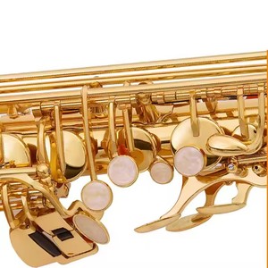 Bán buôn giá rẻ chuyên nghiệp Tenor sax Soprano Sachs Trung Quốc với các phụ kiện Brass Alto Saxophone - Product Image 5