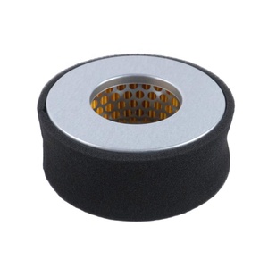 Filtre à air moteur WOTIAN 170F/173F/178F, élément de 0,25 kg pour applications de pompes à eau - Product Image 1