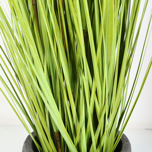 Fournisseur Pour Amazon Avec Jardinière Décorative de Mauvaises Herbes Aquatiques Mini En Plastique Plante Artificielle avec racines Herbe Bonsaï - Product Image 4
