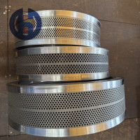 Nouvelle Matrice Annulaire en Acier Inoxydable X46Cr13, Direct Usine, Capacité 8 Ton/H, Haute Productivité pour Machine à Granulés Mini-Granulateur Maxima 360