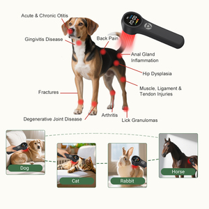 อุปกรณ์กายภาพบำบัดด้วยเลเซอร์ บรรเทาอาการปวด โรคเส้นประสาทอักเสบ การอักเสบ และการรักษาอาการบาดเจ็บสำหรับสัตว์เลี้ยง สุนัข ม้า โรคกระดูกอักเสบ - Product Image 4