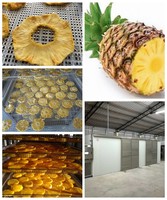 KINKAI Industriële Commerciële Voedseldehydrator & Droogmachine met Warmtepomp RVS Automatische Besturing Hoge Efficiëntie
