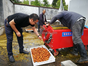 Machine à décortiquer les <span class=keywords><strong>noix</strong></span> vertes en acier inoxydable, décortiqueuse et laveuse <span class=keywords><strong>de</strong></span> <span class=keywords><strong>noix</strong></span>, taux <span class=keywords><strong>de</strong></span> décorticage <span class=keywords><strong>de</strong></span> 99 % pour les fermes et vergers - Product Image 5
