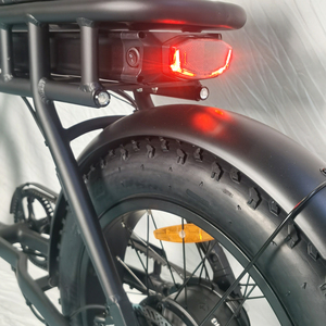 Bicicleta Eléctrica Urbana de 36v250w con Transmisión por Correa, 20 Pulgadas, Sensor de Torque, Neumático Grueso, Una Velocidad, para Pasajeros - Product Image 4