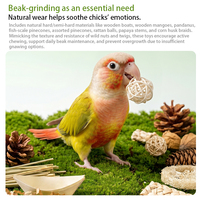 Yee Parrot Coffret de jouets à mâcher pour oiseaux, Décoration de cage, Meule à bec, Pack de friandises pour Conure, Agapornis, Perroquet, Nymphéa