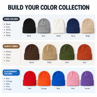Groothandel Gemengde Kleuren Rib Gebreide Mutsen Met Boord Wintermutsen Direct Leverbaar Gorros Al Por Mayor Bulk Levering