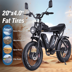 Warehouse Stock Q20Pro 52V 20" Ebike Fast Mtb E Bike Dual Battery Motor Mountain Dirt for Adults Q20 Dual Motor Bike Q2 - Product Image 2