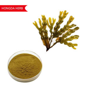 最佳bladderwrack粉末bladderwrack提取物墨角藻bladderwrack粉末