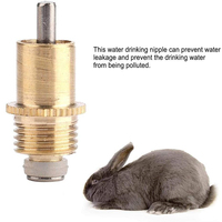 Distributeur d'eau automatique en acier inoxydable pour lapin, outil facile à utiliser pour les petits animaux
