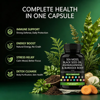 Complément Alimentaire Marque Blanche Complexe de Mousse de Mer avec Fucus et Curcuma pour la Santé Thyroïdienne et le Soutien Énergétique 60 Capsules