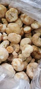 Detan Champignons <span class=keywords><strong>Lion</strong></span>'s Mane séchés comestibles <span class=keywords><strong>de</strong></span> grande qualité - Product Image 5