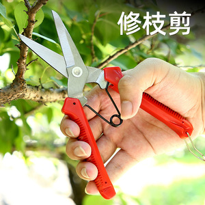 Fruit Picker Shears Stainless Steel 10-20 Mm Bypass Pruner For Gardening And Harvesting - Product Image 2