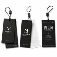 Juego Combinado de Bolsas de Embalaje y Etiquetas para Ropa, Bolsas de Papel Ecológicas Impresas Personalizadas y Etiquetas para Ropa, Zapatos, Regalos y Venta al por Menor