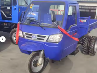 Tricycle de transport de marchandises à trois roues diesel, tricycle motorisé diesel robuste, pour travaux agricoles et de construction