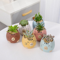 Mini pot de fleurs créatif en céramique en forme d'animal, ensemble de pots pour plantes succulentes avec emballage