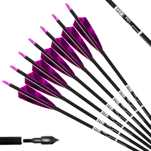 PG1ARCHERY 30 pollici frecce in carbonio con 4 pollici scudo piume di tacchino Fletching & tiro con l'arco pratica di caccia Targeting, viola