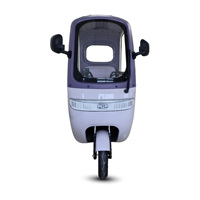 Tricycle électrique Holladay 650w 60V fabriqué en Chine, pas cher, avec auvent imperméable, tricycles électriques pour la famille, scooter électrique