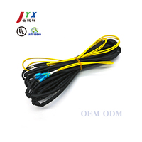 Vente en gros de faisceaux de câbles électroniques à double tête de 2,0 mm, respectueux de l'environnement, pour assemblages AMP/JST/MOLEX/KET/JAM