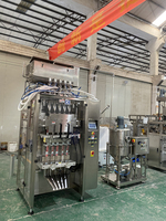 Automatische verzegel- en verpakkingsmachine voor waterzakjes, 6/8 stickzakjes, vruchtensap, ijslolly's, gelei, ijsjes en vloeistoffen.