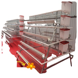 Jaulas de gallinas ponedoras multinivel de tres a cuatro niveles con comederos verdes/blancos para pollos - Suministro del fabricante - Product Image 3