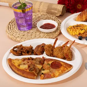 Compostable Fast Food Take Away Biodegradable Disposable Tableware Sugarcane Bagass Plates For Party