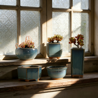 Pot de fleurs en céramique simple pour la maison, idéal pour les plantes succulentes, pot décoratif pour bonsaï