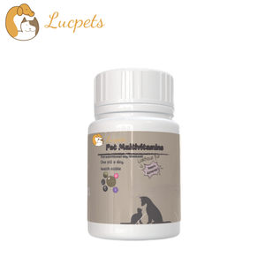 बिल्लियों कुत्तों के लिए गंध ओम पालतू स्वास्थ्य देखभाल और पूरक वसूली विटामिन समर्थन पाउडर वसूली विटामिन समर्थन पाउडर - Product Image 1