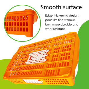 QAプラスチック製小型家禽ブロイラー鳩ケージ鶏箱ウズラひよこ輸送箱 - Product Image 4