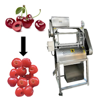 Hoge capaciteit gepersonaliseerde fruitzaadverwijderingsmachine olijfpitmachine met geweldige prijs