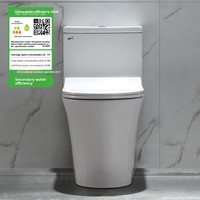 Ensemble WC monobloc en céramique à siphon à jet, économie d'eau et anti-odeur, pour hôtels et maisons d'hôtes