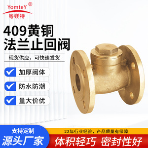 Guangdong Magnesium Special Brass Flange Check Valve 409 Lift Type For Water Flow Control Straight Through Design - Product Image 5