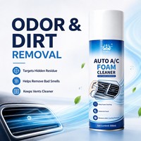 Nettoyant désodorisant pour climatisation de voiture, mousse nettoyante pour grille d'aération, éliminateur d'odeurs, antibactérien, nettoyant en mousse pour système d'aération automobile