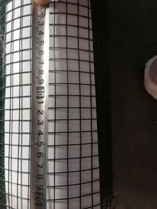 <span class=keywords><strong>Buscar</strong></span> ZHENYU Color verde PVC recubierto galvanizado eléctrico 1/2 ''3/4'' soldado Animal pájaro aviario jaula alambre malla <span class=keywords><strong>rollos</strong></span> mayorista - Product Image 3