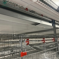 Cage à poules pondeuses en batterie avec alimentation et abreuvement automatisés, galvanisée à chaud, conforme ISO9001