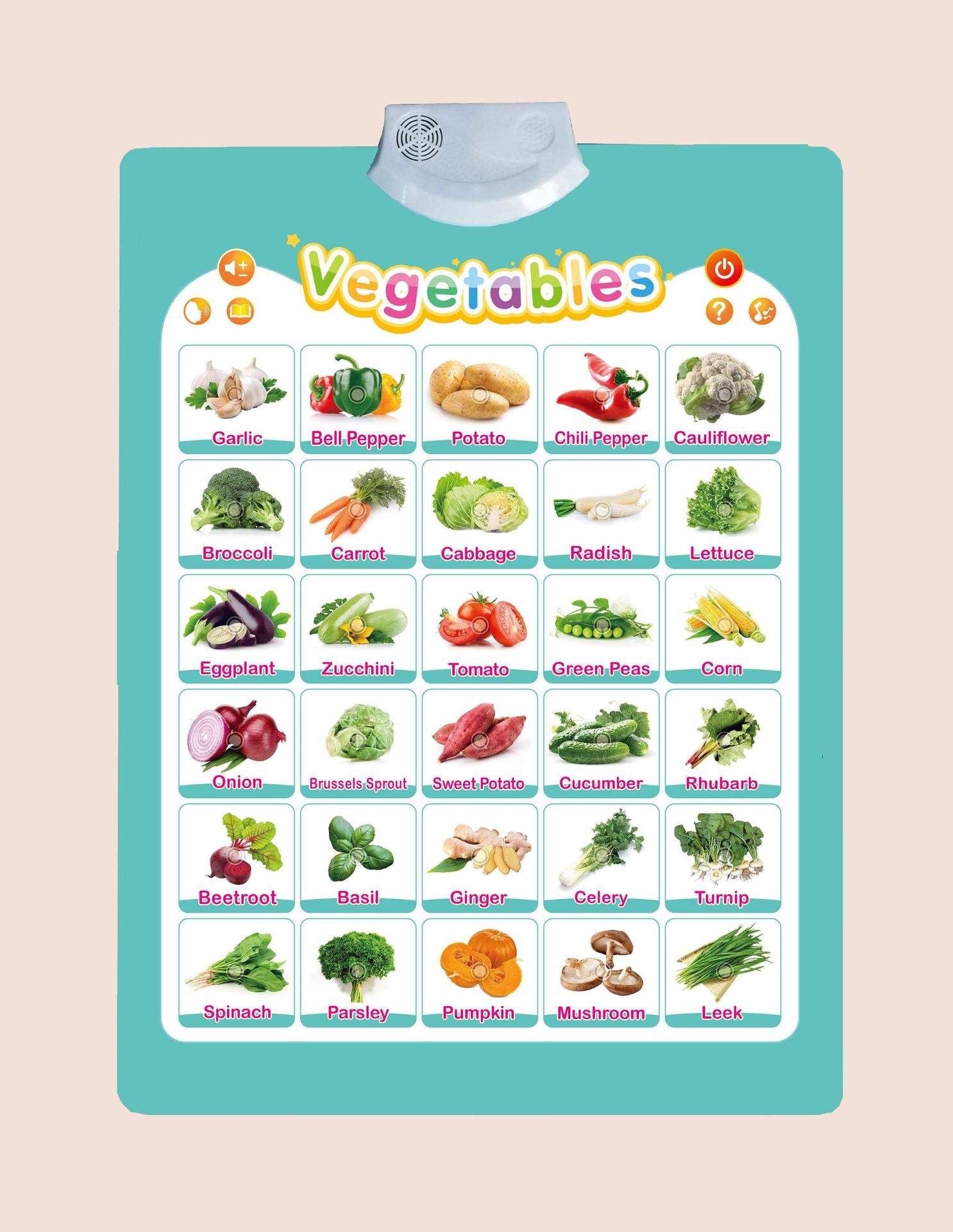 Reconocimiento inglés completo de verduras